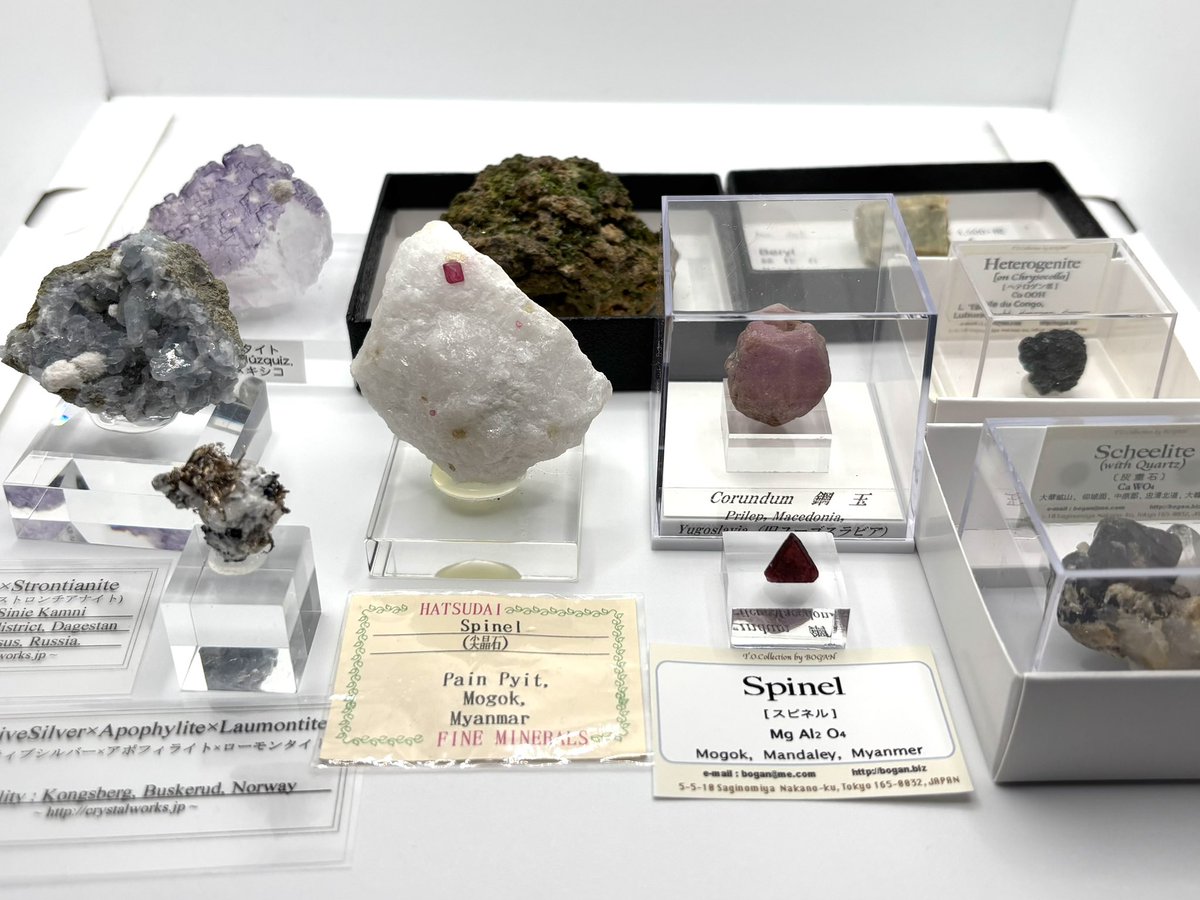 まーぼー tweet media