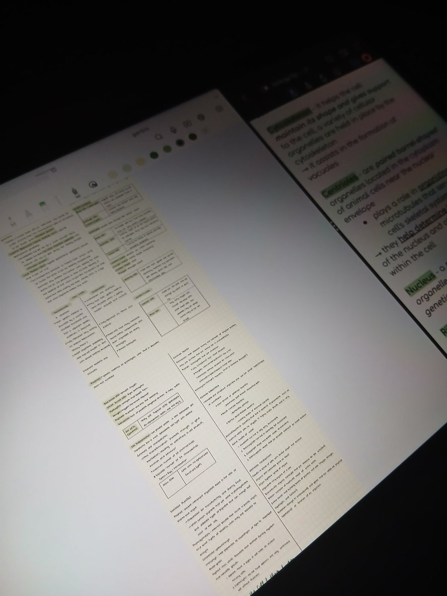 aya ♖𖤓 tweet media