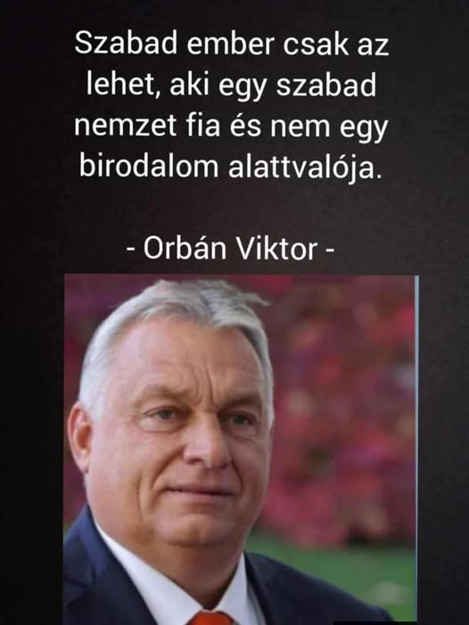 József Krieger®✝🇭🇺🇷🇸🇷🇺✝ tweet media