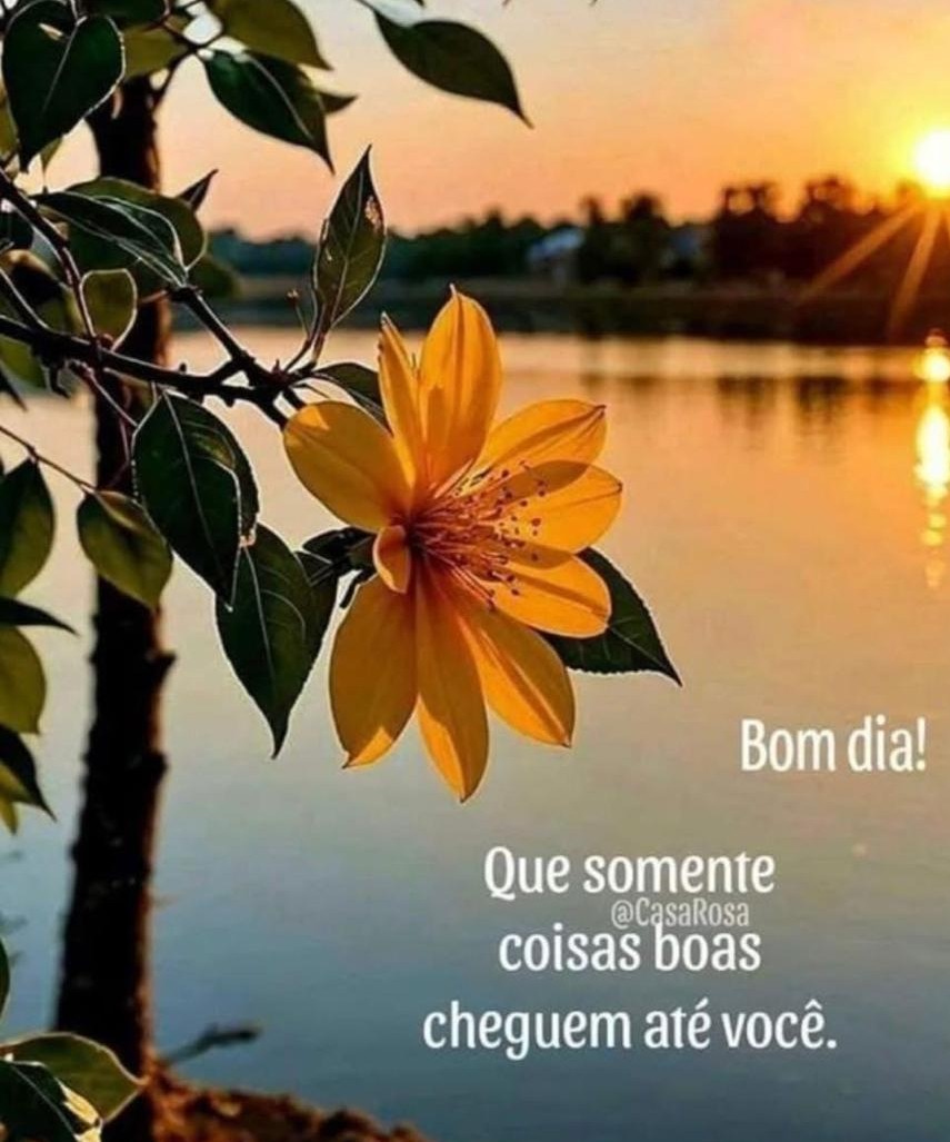 Maria Regina tweet media