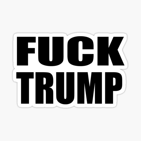 Florida Life 😎🌴🌊 tweet media