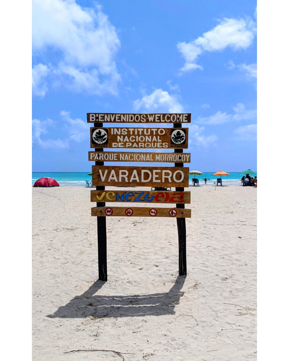 Ender Damian A.L 💫 tweet media