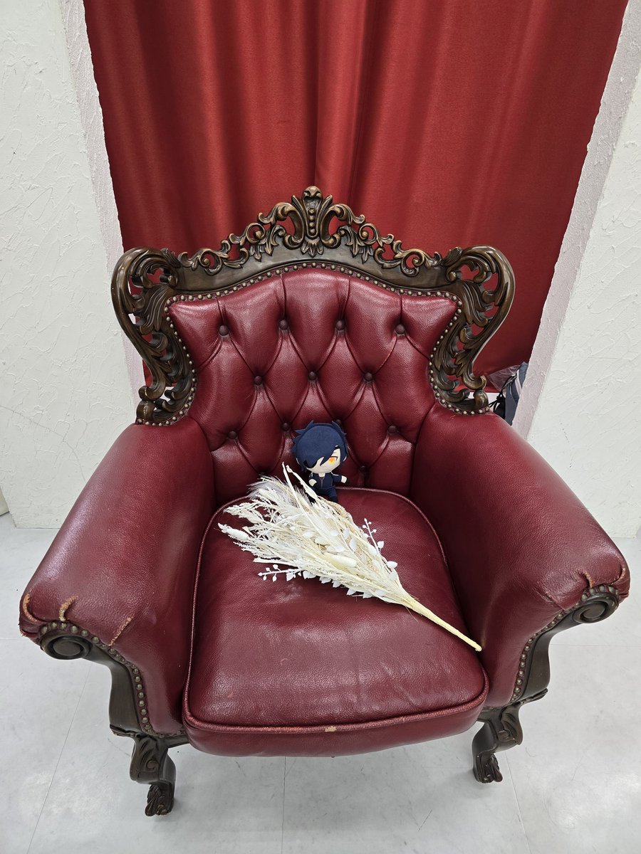 素敵な椅子があったので☺️
#わた族撮影会260425