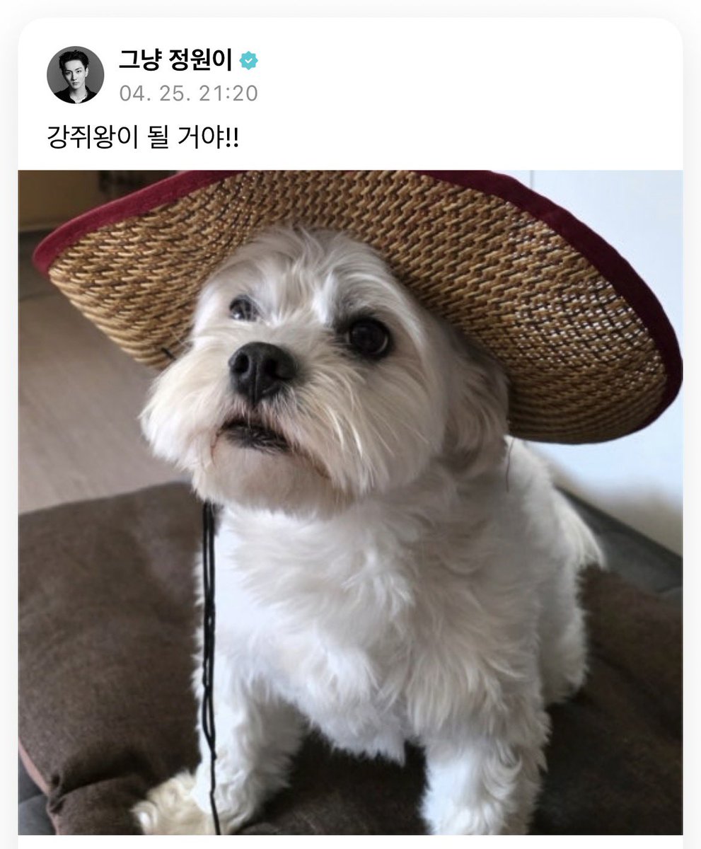 귄카 tweet media
