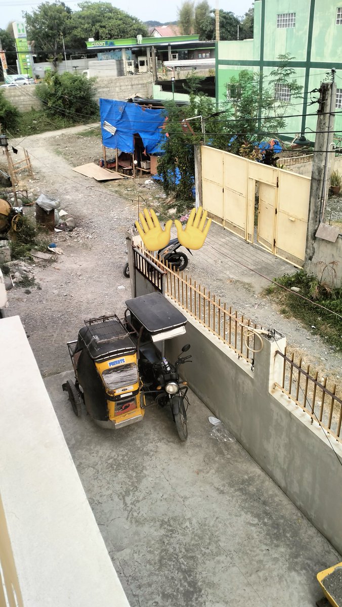 rawr owem ° tweet media