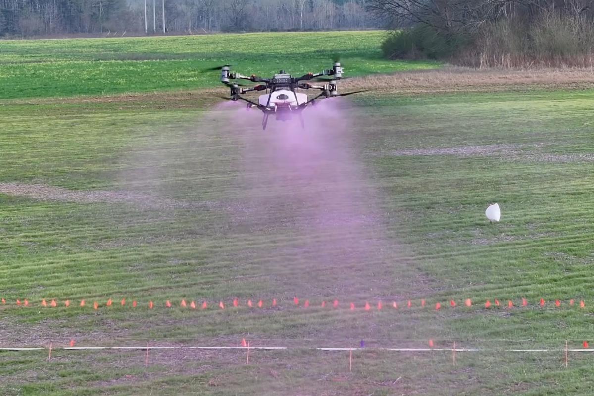 New York Post tweet media