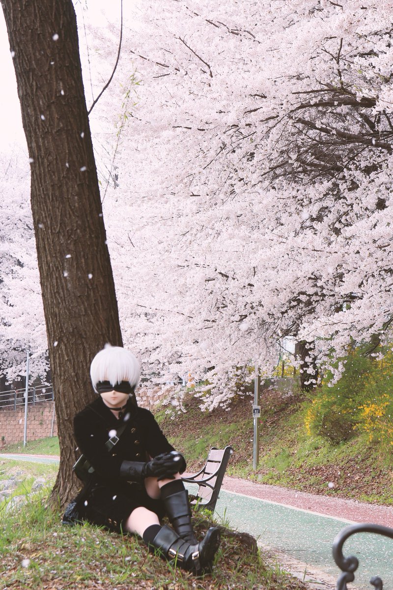 zeee_kig's tweet photo. NieR: Automata - 9S

『僕らも人間だったら、こんな場所で楽しく花見をしていたんですかね？』

#着ぐるみ #Kigurumi https://t.co/vBVvzs4dWx