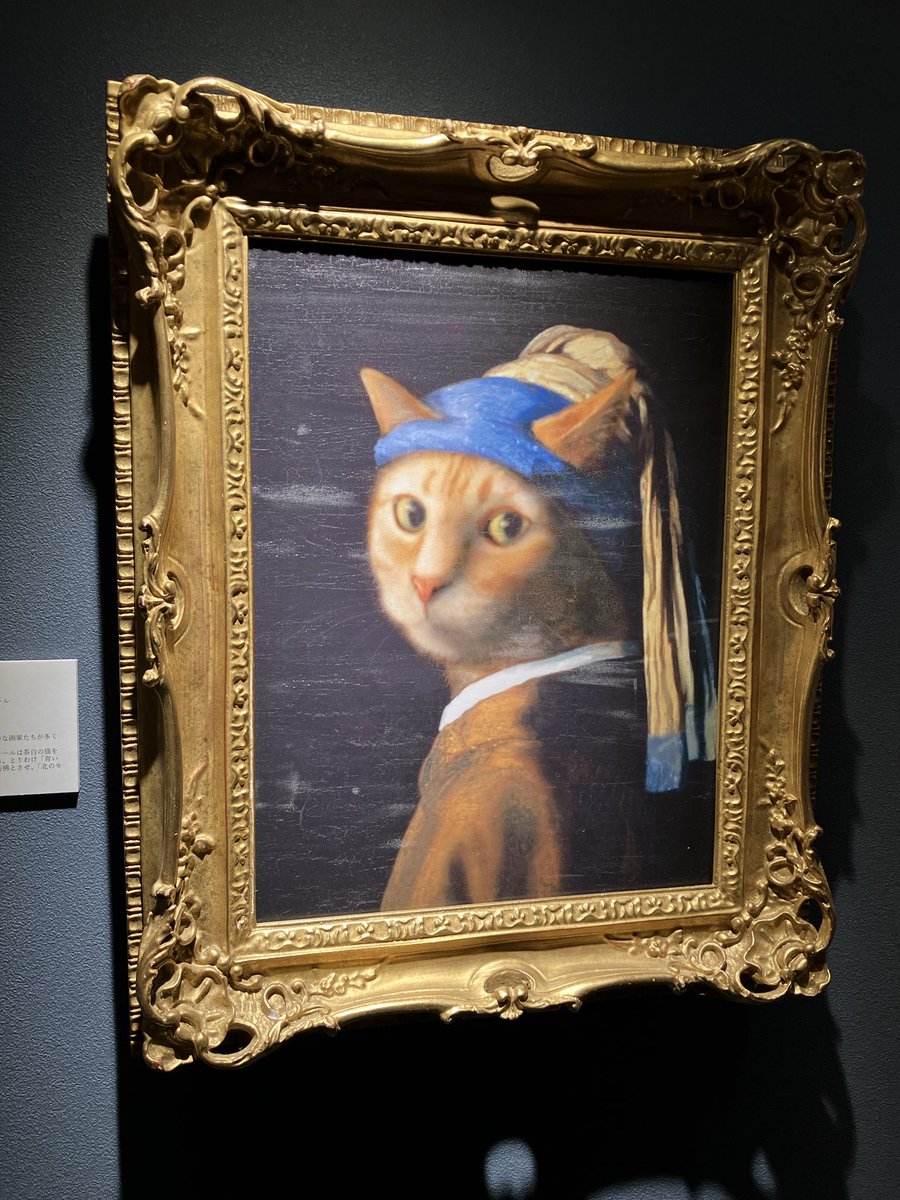 tomousa4's tweet photo. 京大総合博物館を堪能した後は、猫猫寺と猫族歴史博物館にも行って来ました🐈
なかなか楽しいところでした♪
今日も幸せな1日でした🐇🐸感謝🙏 https://t.co/x4AznKdk9Y