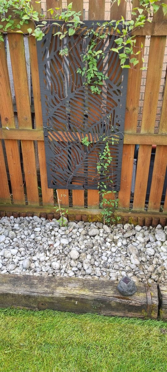 d3dsy's tweet photo. @WetAndForgetUK_ can I use your product to clean the gravel around my clematis without killing them? https://t.co/D3V8VZt9Sq