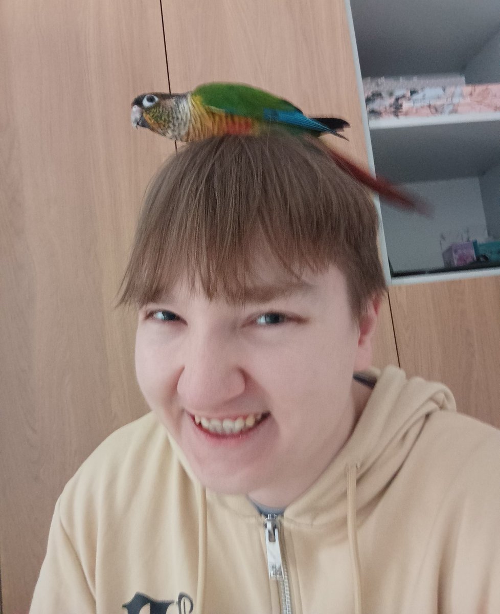 nowe gniazdo