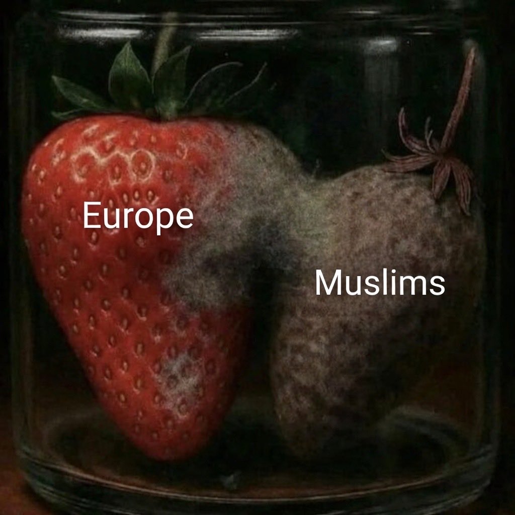 N Ecc 🏴󠁧󠁢󠁥󠁮󠁧󠁿🏴󠁧󠁢󠁥󠁮󠁧󠁿🏴󠁧󠁢󠁥󠁮󠁧󠁿 tweet media