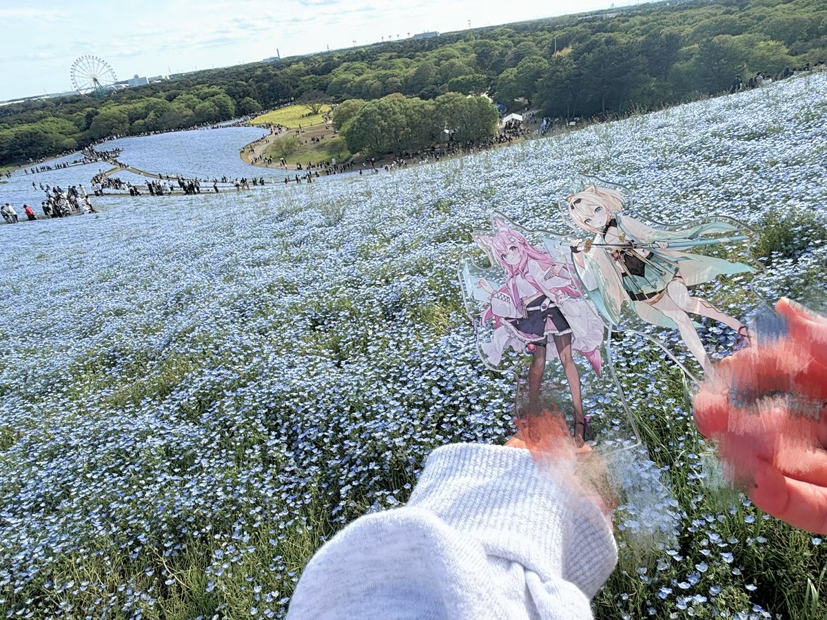 ぬこた🐾🧪 tweet media