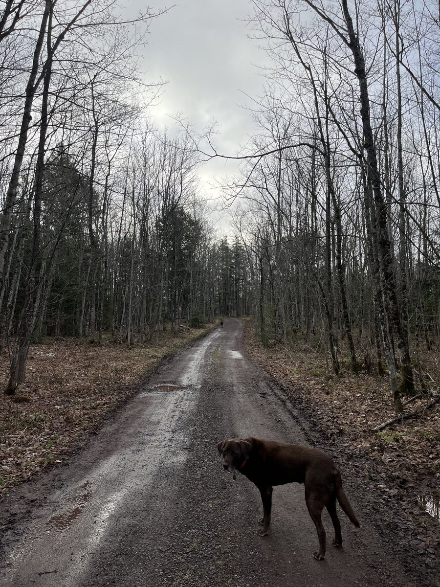 Willie D in da UP tweet media