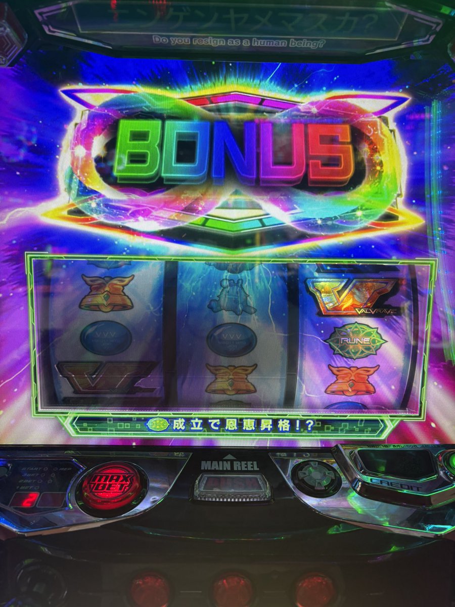 ゆうちむだっぺ tweet media