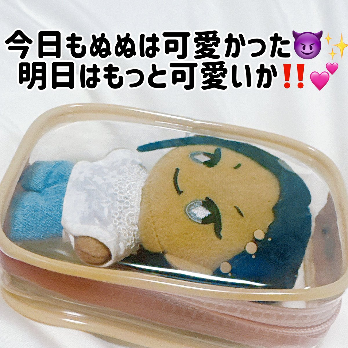 ポーチの中で自覚するヌヌンセス😈