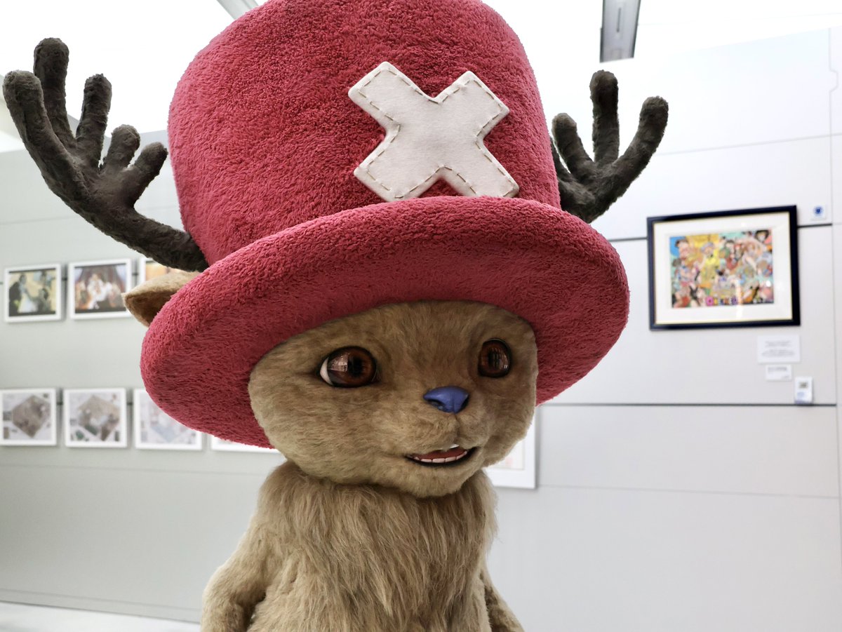 【公式】ONE PIECE BASE SHOP（ワンピースベースショップ） tweet media