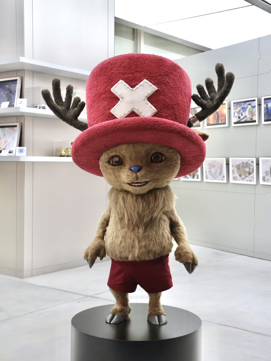 【公式】ONE PIECE BASE SHOP（ワンピースベースショップ） tweet media