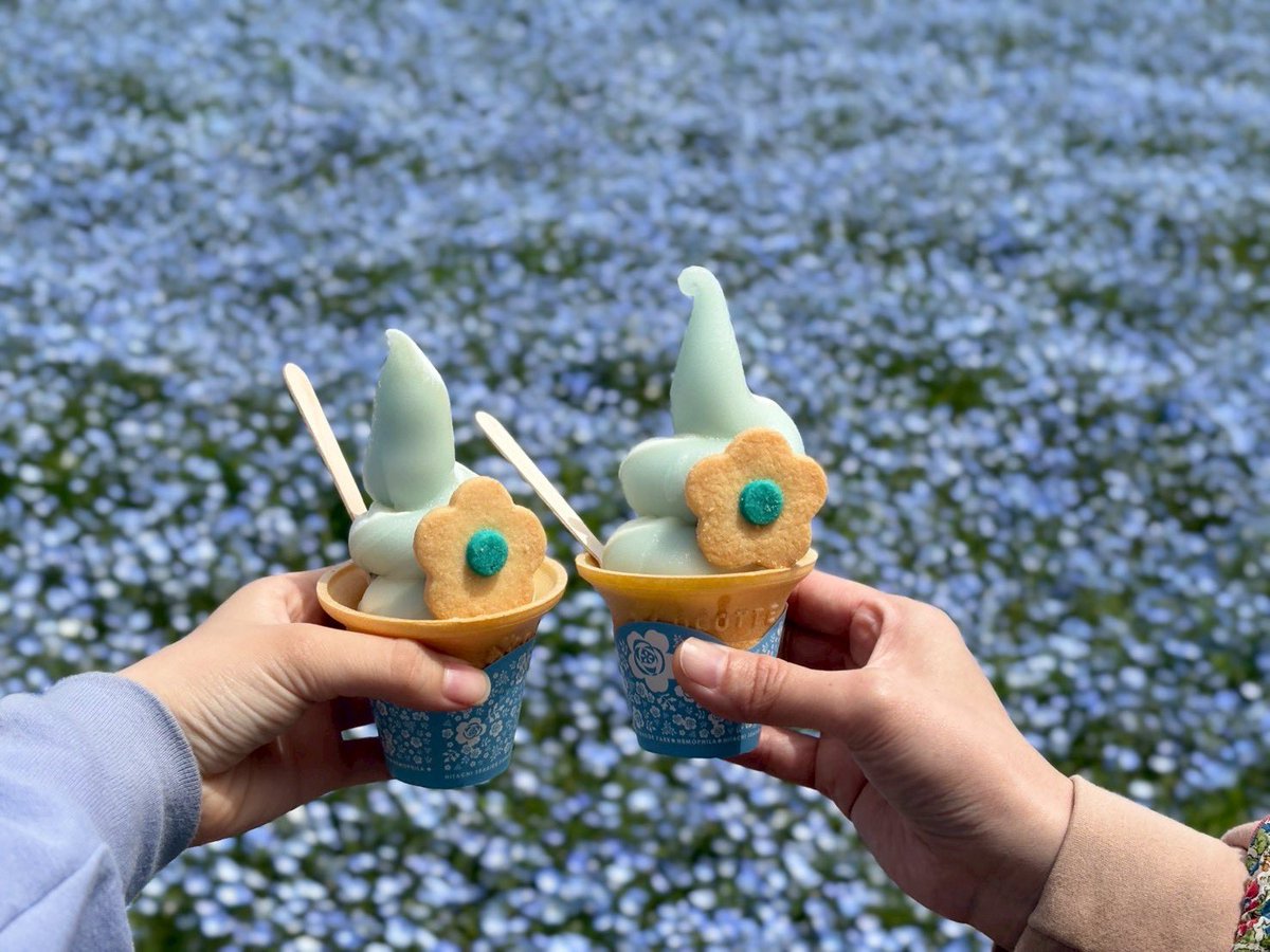 めぇ︎🌳🦍 tweet media