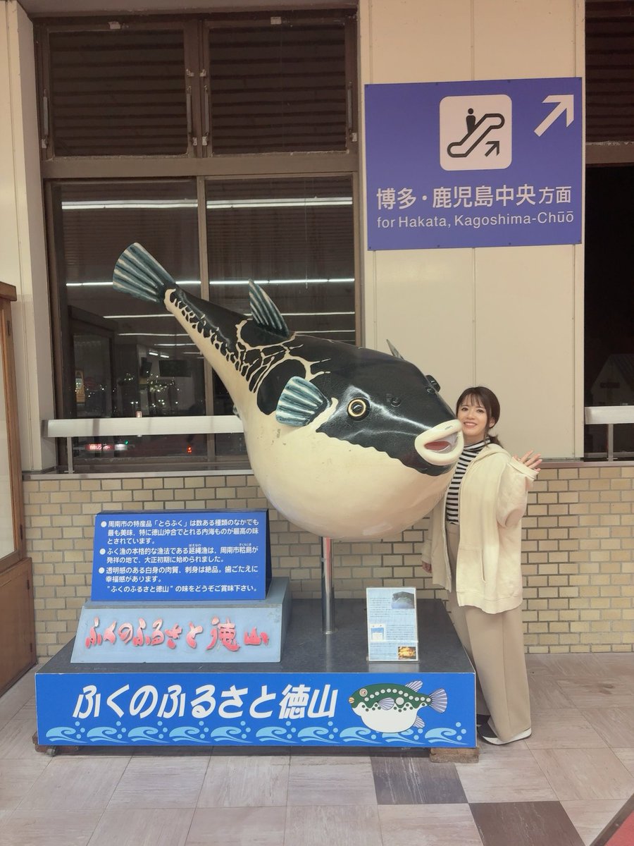 藤田麻衣子 tweet media