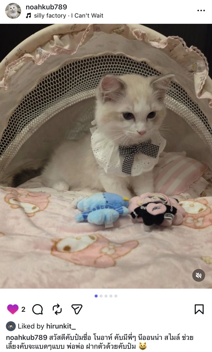 ทุกคน น้องนิรับเลี้ยงน้องแมวชื่อน้องโนอาห์ น่ารักมาก สไมล์นีออนน่าเป็นพี่แล้ว 😭😭😭😭😭😭

ไอจีหลานจ้า instagram.com/p/DXjfZcYE9KQ/…

#hirunkit_