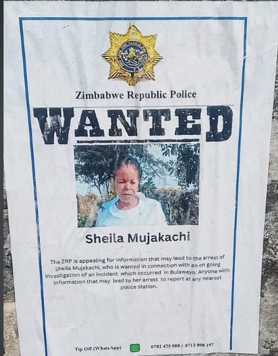 Gerrard Anko Ged Belts tweet media