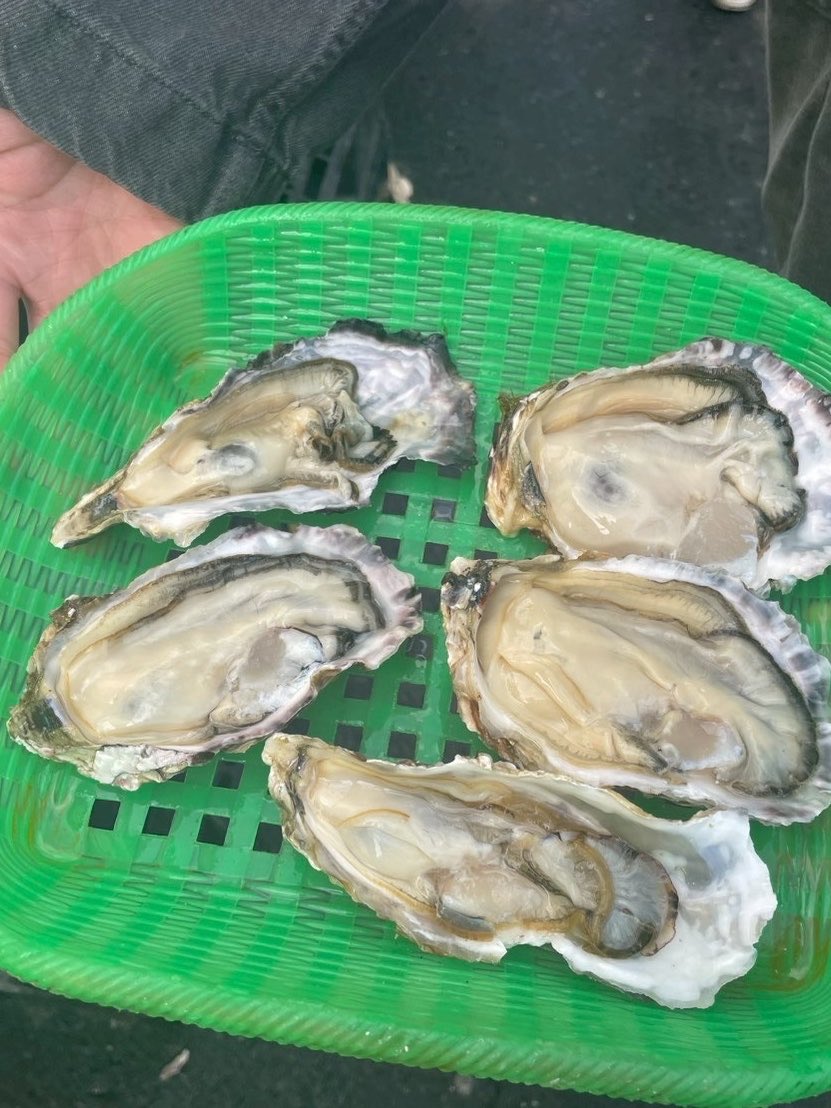 けぇ㌠/ヰ組 tweet media