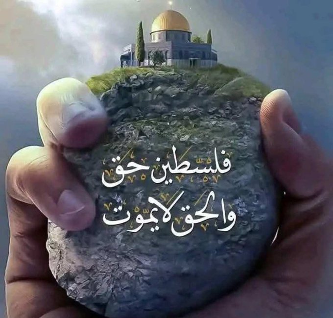 حنان العتيبي tweet media