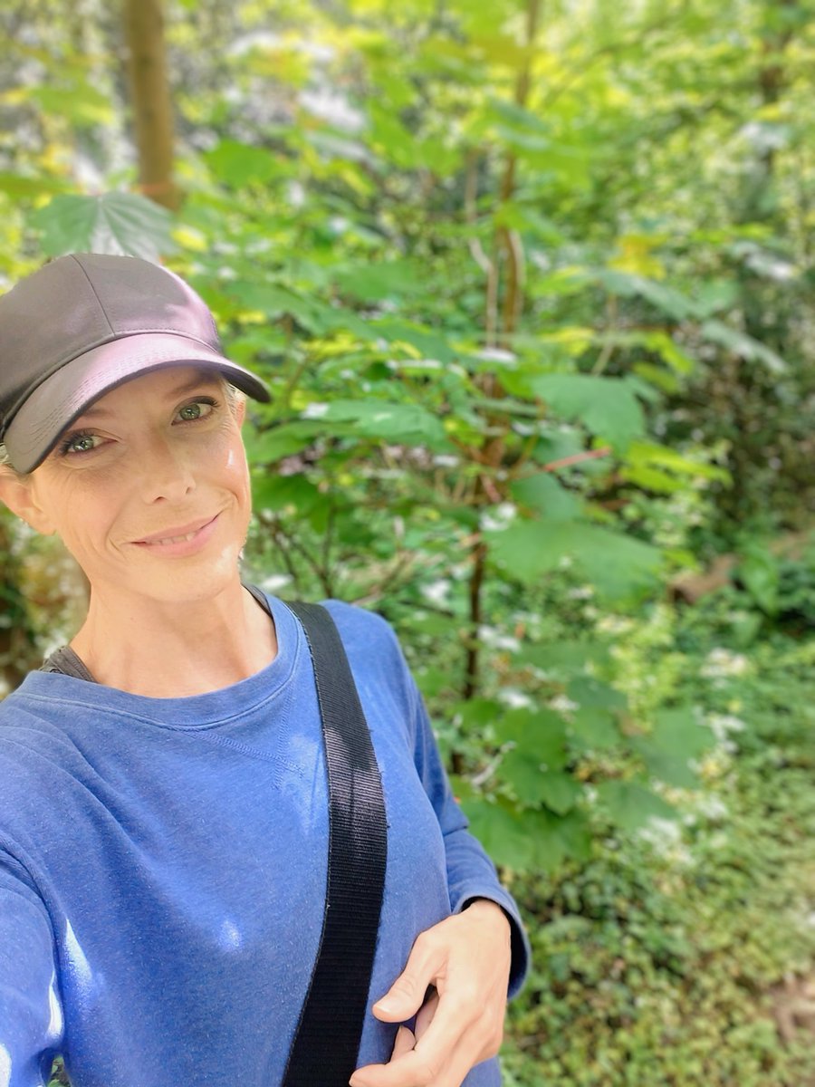 LadyGrace27's tweet image. Where the light filters in, so does the calm...🌿

#SaturdayVibes #walks #trails #trees #woodland 
#NatureScenery #calm