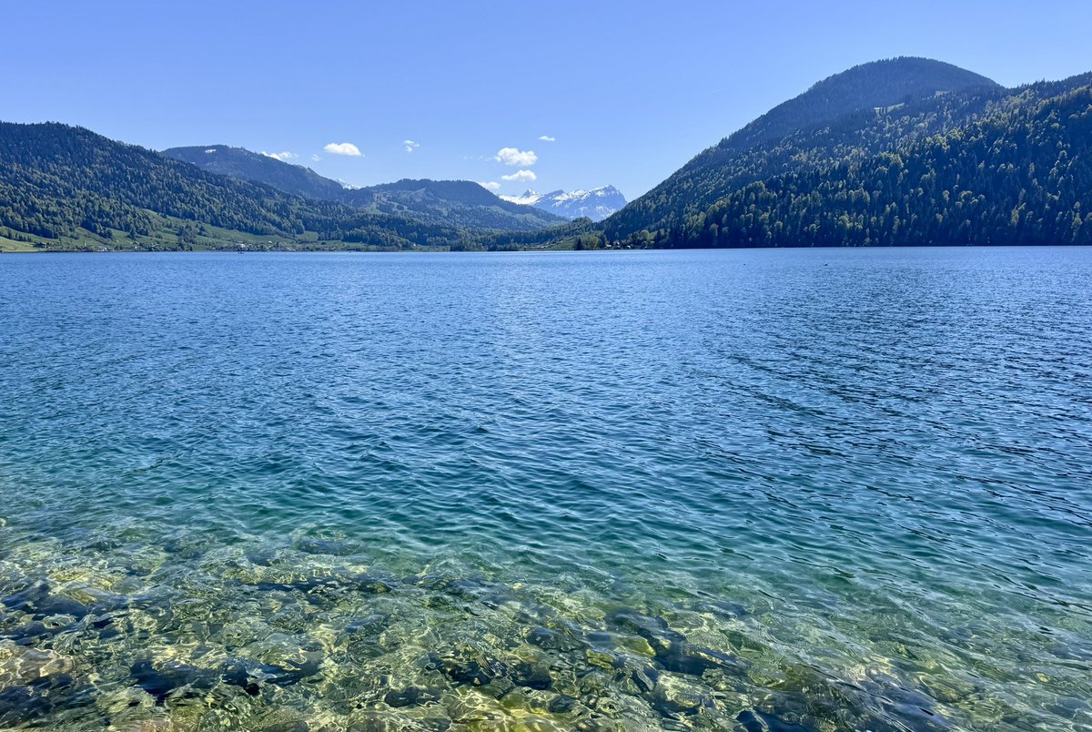 LouiseMangos's tweet image. #SaturdayStroll #Home 🇨🇭