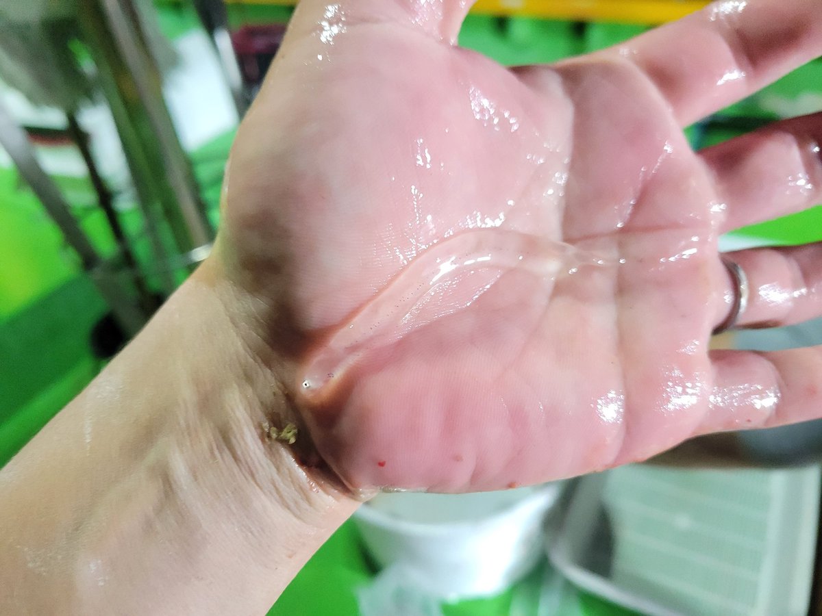 杉本　光 tweet media