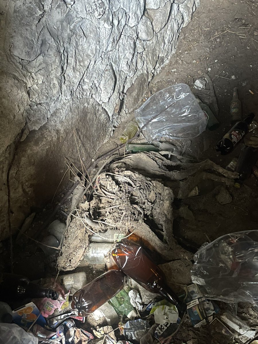 Sugar4dream_'s tweet image. Dog's corpse🐾🌸
#poland #urbex #cute #dog #corpse