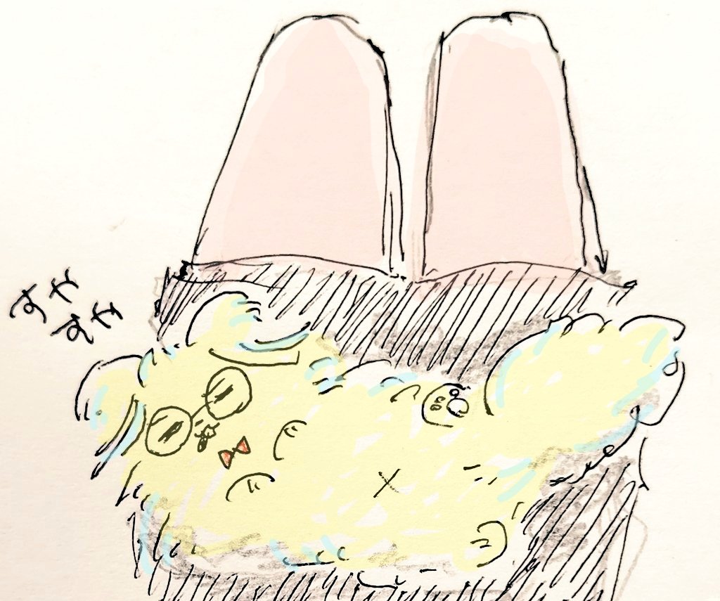 ありのしん🎀 tweet media