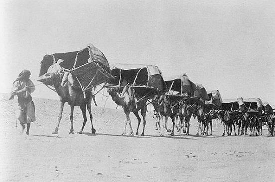 pegluia's tweet photo. @S_H_188 Slay People, the name of Egypt is England, and its relationship with Jordan's Sodom and Italy's Pompeii, because Egypt is called England, where is Pompeii, the success of the Ethiopian dam idea, and the idea of fighting terrorism resulting from moral flaws. https://t.co/ucsZhEBTwS