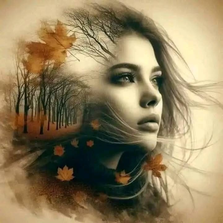 الـٌــــبـــٌـرق tweet media