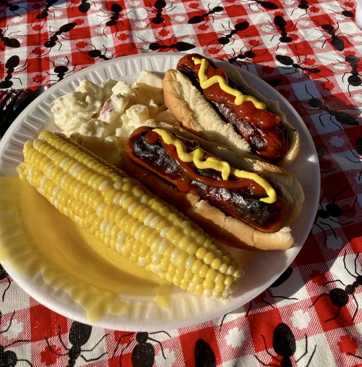 QCSausage's tweet photo. Picnic Season has arrived!🧺
#saturdayfun #picnicseason #springgrilling #craftsausages #cincinnatispring https://t.co/RiUM3YwFAT