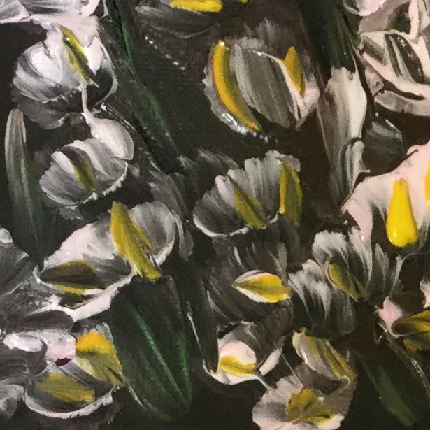 Rachel Doyle 🐝 tweet media