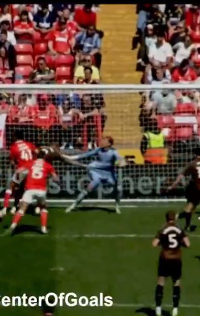 Connor P tweet media