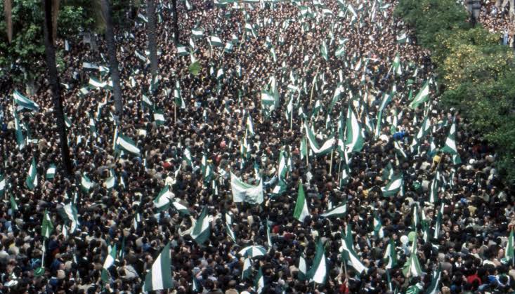 Curro Cuberos ۞ 🇵🇸 tweet media