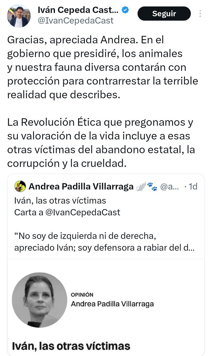 Mariasmus 🦇 🐆💛💚 tweet media