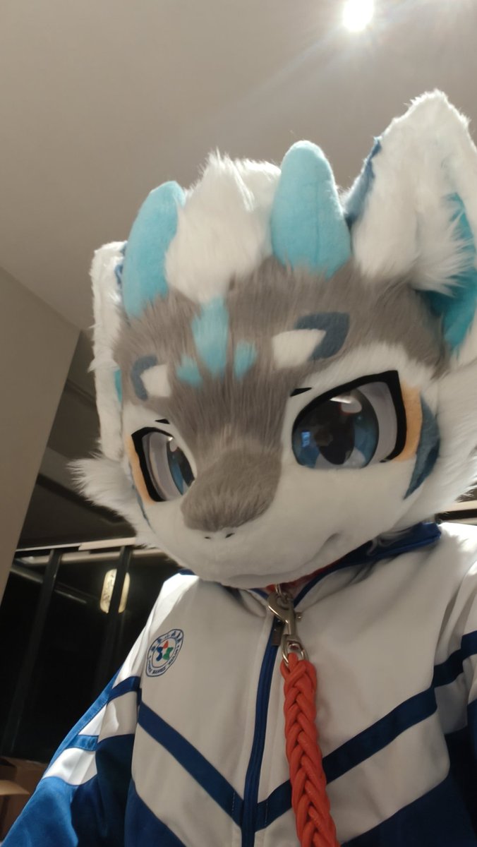 Haru Rolin tweet media