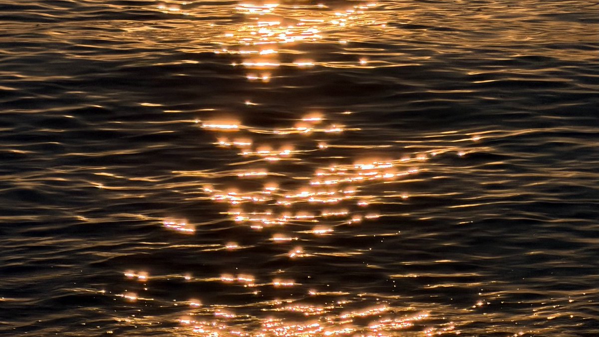 จีน tweet media