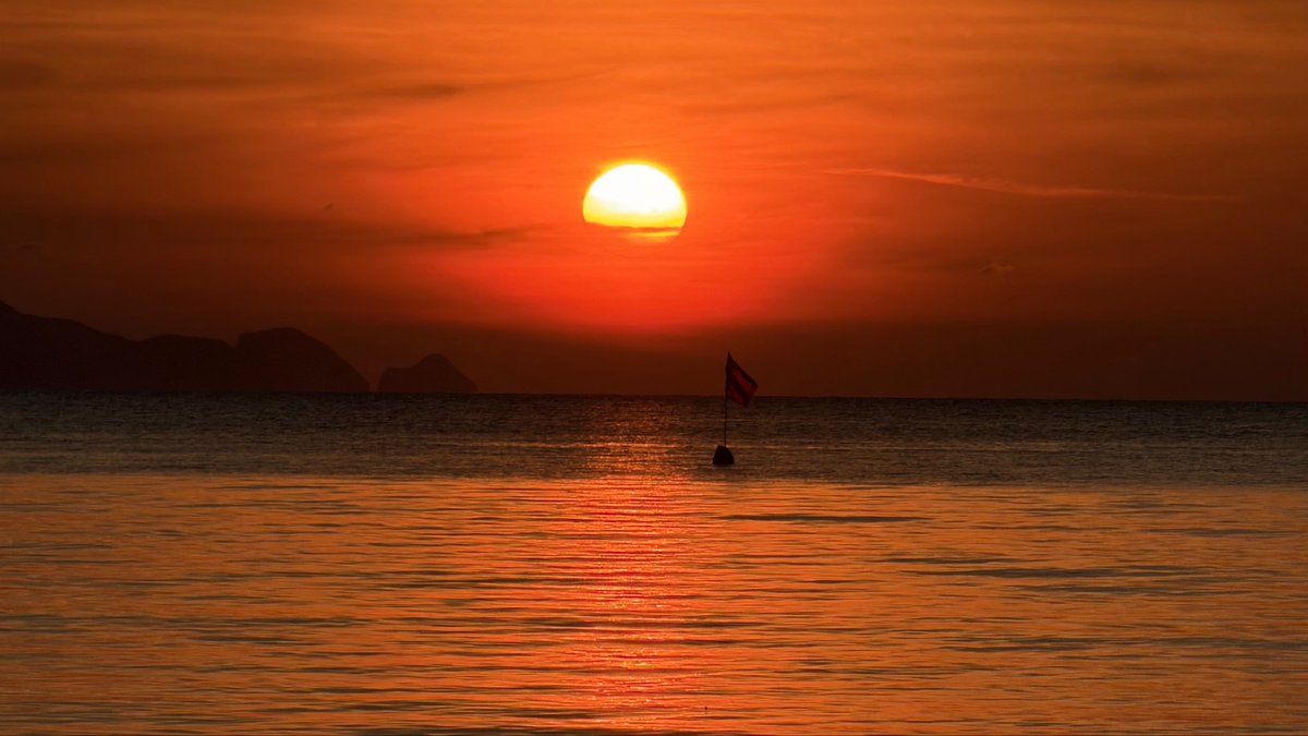 จีน tweet media