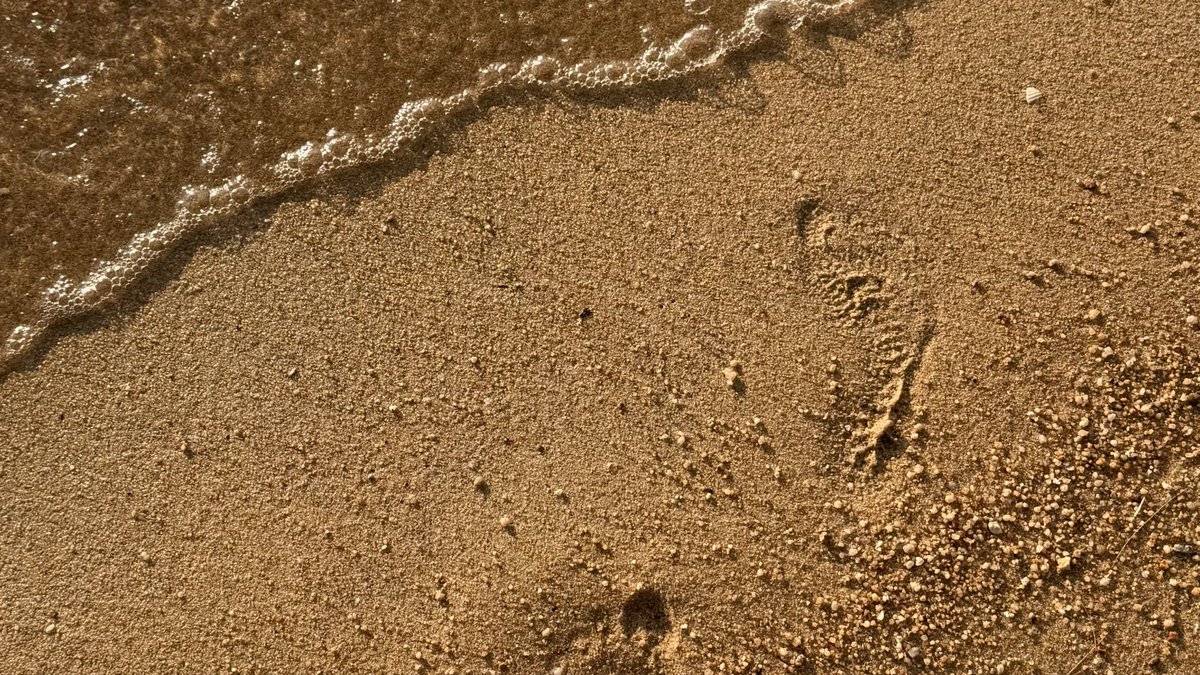 จีน tweet media