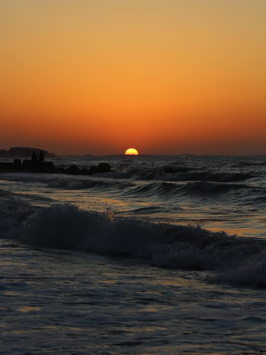 ocean (@hawsett4) on Twitter photo 