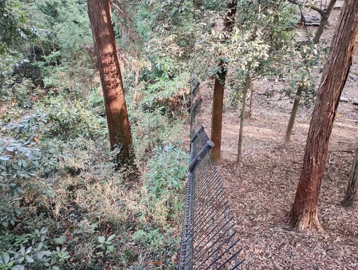 しろみ tweet media