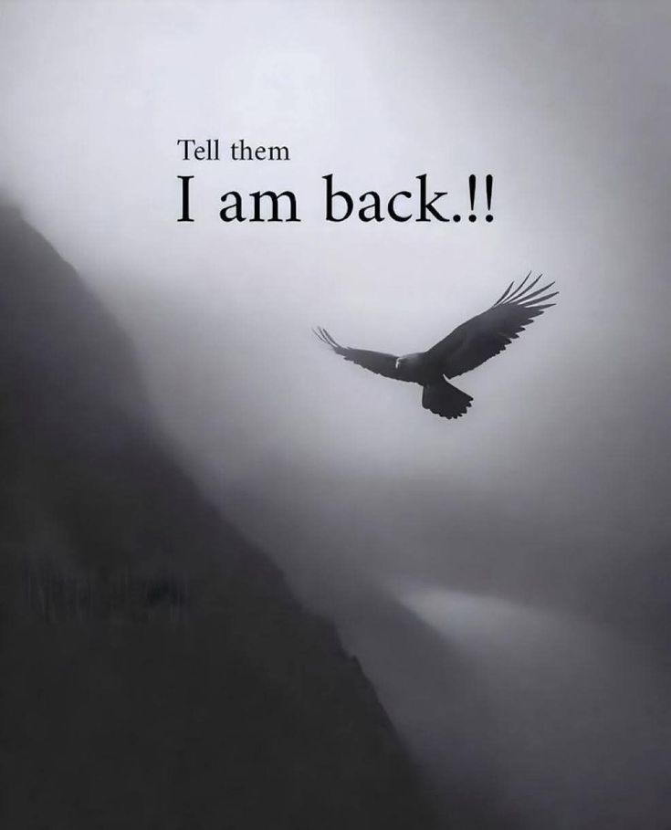 Cold Heart tweet media