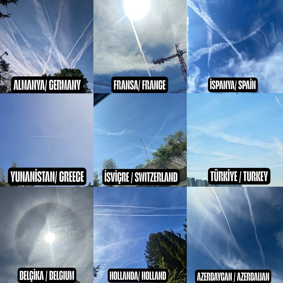 Mavi Türk 🇹🇷 tweet media