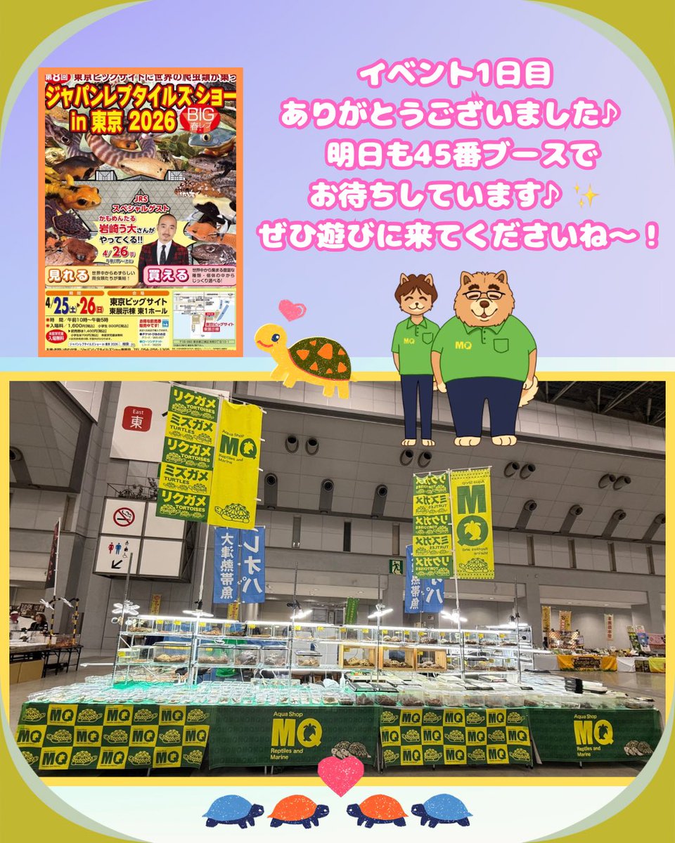 アクアショップMQ🐢4/25.26🎉ジャパンレプタイルズショーin東京出展✨ tweet media
