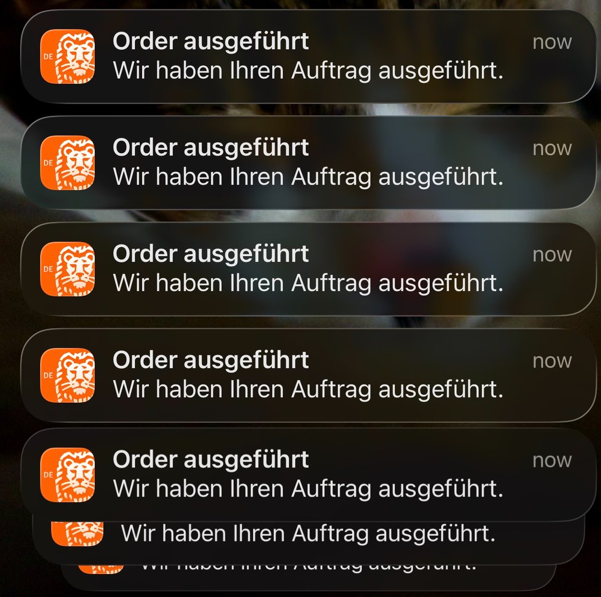 stekkerauto 🚗⚡️ tweet media