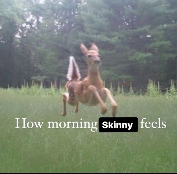 pinkandskinny's tweet photo. https://t.co/cS4CsH2tC2